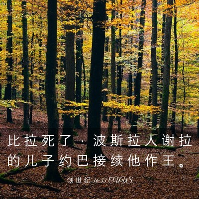 Picture 03 - 创 世 纪 36:33 CUVS - 比 拉 死 了 ， 波 斯 拉 人 谢 拉 的 - Bible Verse Picture