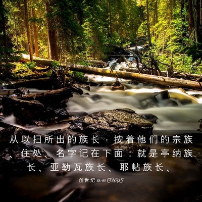 Picture 03 - 创 世 纪 36:40 CUVS - 从 以 扫 所 出 的 族 长 ， 按 着 他 - Bible Verse Picture