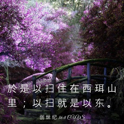 Picture 03 - 创 世 纪 36:8 CUVS - 於 是 以 扫 住 在 西 珥 山 里 ； 以 - Bible Verse Picture