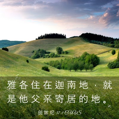 Picture 03 - 创 世 纪 37:1 CUVS - 雅 各 住 在 迦 南 地 ， 就 是 他 父 - Bible Verse Picture