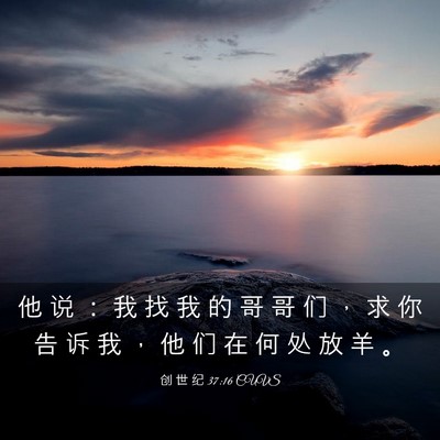 Picture 03 - 创 世 纪 37:16 CUVS - 他 说 ： 我 找 我 的 哥 哥 们 ， 求 - Bible Verse Picture
