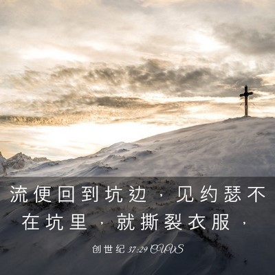 Picture 03 - 创 世 纪 37:29 CUVS - 流 便 回 到 坑 边 ， 见 约 瑟 不 在 - Bible Verse Picture