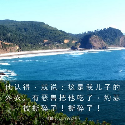 Picture 03 - 创 世 纪 37:33 CUVS - 他 认 得 ， 就 说 ： 这 是 我 儿 子 - Bible Verse Picture