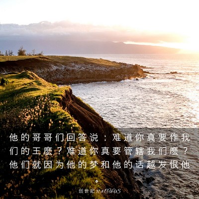 Picture 03 - 创 世 纪 37:8 CUVS - 他 的 哥 哥 们 回 答 说 ： 难 道 你 - Bible Verse Picture