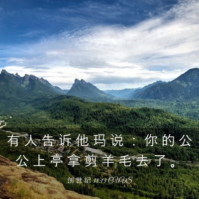 Picture 03 - 创 世 纪 38:13 CUVS - 有 人 告 诉 他 玛 说 ： 你 的 公 公 - Bible Verse Picture