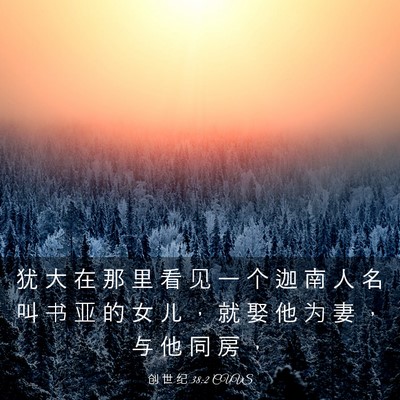 Picture 03 - 创 世 纪 38:2 CUVS - 犹 大 在 那 里 看 见 一 个 迦 南 人 - Bible Verse Picture