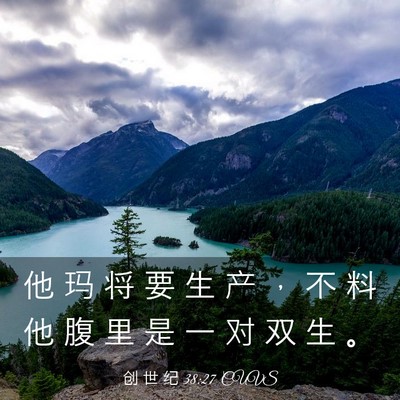 Picture 03 - 创 世 纪 38:27 CUVS - 他 玛 将 要 生 产 ， 不 料 他 腹 里 - Bible Verse Picture