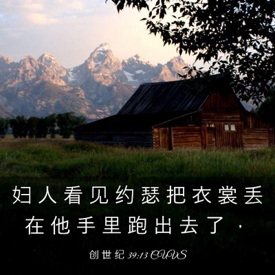 Picture 03 - 创 世 纪 39:13 CUVS - 妇 人 看 见 约 瑟 把 衣 裳 丢 在 他 - Bible Verse Picture
