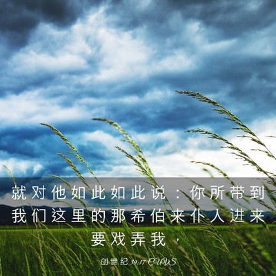 Picture 03 - 创 世 纪 39:17 CUVS - 就 对 他 如 此 如 此 说 ： 你 所 带 - Bible Verse Picture