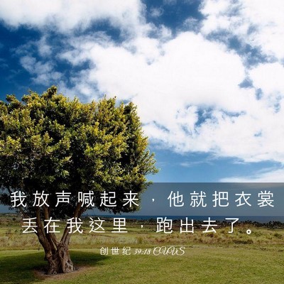 Picture 03 - 创 世 纪 39:18 CUVS - 我 放 声 喊 起 来 ， 他 就 把 衣 裳 - Bible Verse Picture