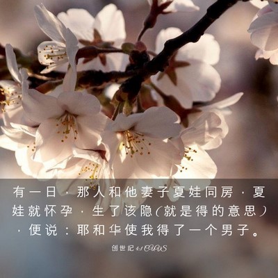 Picture 03 - 创 世 纪 4:1 CUVS - 有 一 日 ， 那 人 和 他 妻 子 夏 娃 - Bible Verse Picture