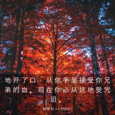 Picture 03 - 创 世 纪 4:11 CUVS - 地 开 了 口 ， 从 你 手 里 接 受 你 - Bible Verse Picture