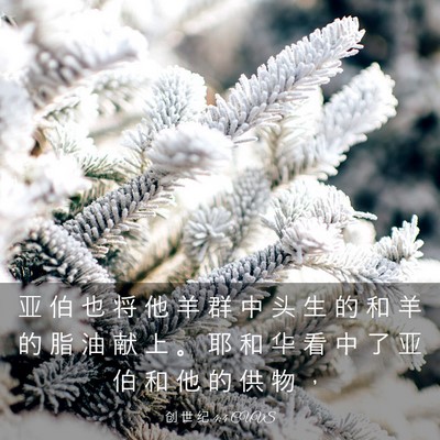 Picture 03 - 创 世 纪 4:4 CUVS - 亚 伯 也 将 他 羊 群 中 头 生 的 和 - Bible Verse Picture