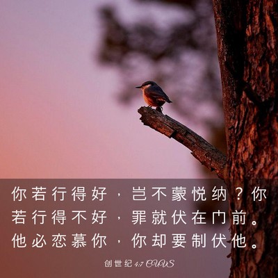 Picture 03 - 创 世 纪 4:7 CUVS - 你 若 行 得 好 ， 岂 不 蒙 悦 纳 ？ - Bible Verse Picture