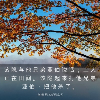 Picture 03 - 创 世 纪 4:8 CUVS - 该 隐 与 他 兄 弟 亚 伯 说 话 ； 二 - Bible Verse Picture