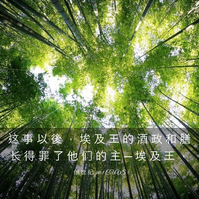 Picture 03 - 创 世 纪 40:1 CUVS - 这 事 以 後 ， 埃 及 王 的 酒 政 和 - Bible Verse Picture