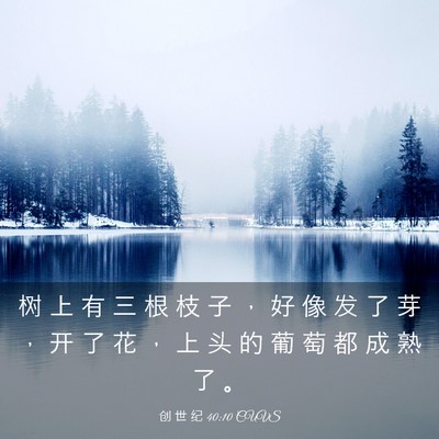 Picture 03 - 创 世 纪 40:10 CUVS - 树 上 有 三 根 枝 子 ， 好 像 发 了 - Bible Verse Picture