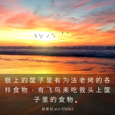 Picture 03 - 创 世 纪 40:17 CUVS - 极 上 的 筐 子 里 有 为 法 老 烤 的 - Bible Verse Picture