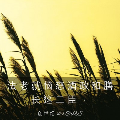 Picture 03 - 创 世 纪 40:2 CUVS - 法 老 就 恼 怒 酒 政 和 膳 长 这 二 - Bible Verse Picture