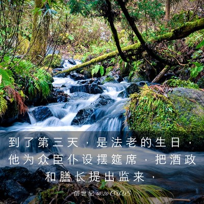 Picture 03 - 创 世 纪 40:20 CUVS - 到 了 第 三 天 ， 是 法 老 的 生 日 - Bible Verse Picture