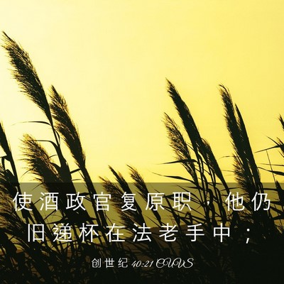 Picture 03 - 创 世 纪 40:21 CUVS - 使 酒 政 官 复 原 职 ， 他 仍 旧 递 - Bible Verse Picture