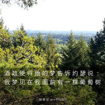 Picture 03 - 创 世 纪 40:9 CUVS - 酒 政 便 将 他 的 梦 告 诉 约 瑟 说 - Bible Verse Picture