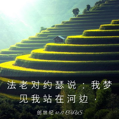 Picture 03 - 创 世 纪 41:17 CUVS - 法 老 对 约 瑟 说 ： 我 梦 见 我 站 - Bible Verse Picture