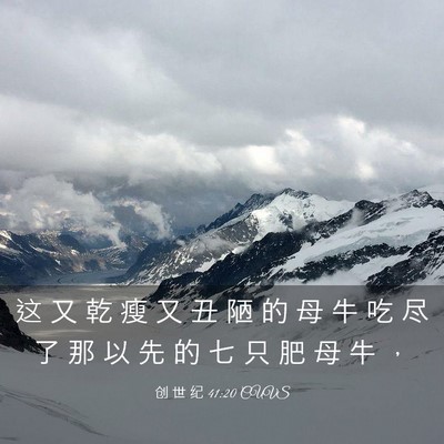 Picture 03 - 创 世 纪 41:20 CUVS - 这 又 乾 瘦 又 丑 陋 的 母 牛 吃 尽 - Bible Verse Picture
