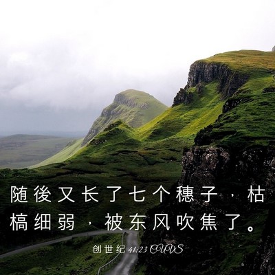 Picture 03 - 创 世 纪 41:23 CUVS - 随 後 又 长 了 七 个 穗 子 ， 枯 槁 - Bible Verse Picture