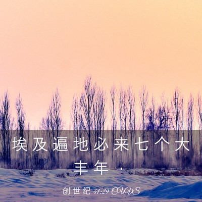 Picture 03 - 创 世 纪 41:29 CUVS - 埃 及 遍 地 必 来 七 个 大 丰 年 - Bible Verse Picture