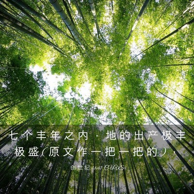 Picture 03 - 创 世 纪 41:47 CUVS - 七 个 丰 年 之 内 ， 地 的 出 产 极 - Bible Verse Picture