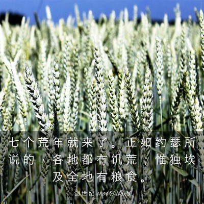 Picture 03 - 创 世 纪 41:54 CUVS - 七 个 荒 年 就 来 了 。 正 如 约 瑟 - Bible Verse Picture
