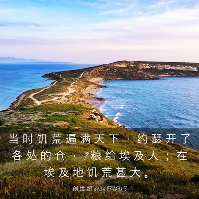 Picture 03 - 创 世 纪 41:56 CUVS - 当 时 饥 荒 遍 满 天 下 ， 约 瑟 开 - Bible Verse Picture
