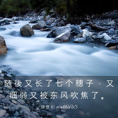 Picture 03 - 创 世 纪 41:6 CUVS - 随 後 又 长 了 七 个 穗 子 ， 又 细 - Bible Verse Picture