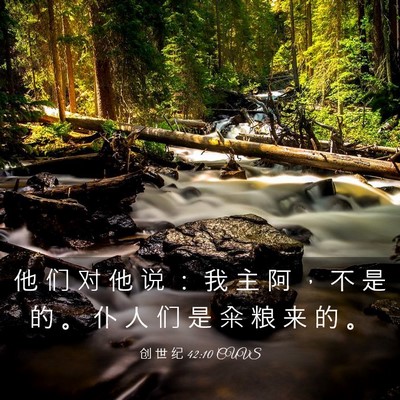 Picture 03 - 创 世 纪 42:10 CUVS - 他 们 对 他 说 ： 我 主 阿 ， 不 是 - Bible Verse Picture