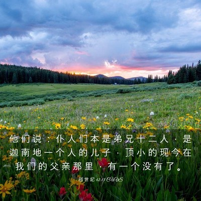 Picture 03 - 创 世 纪 42:13 CUVS - 他 们 说 ： 仆 人 们 本 是 弟 兄 十 - Bible Verse Picture