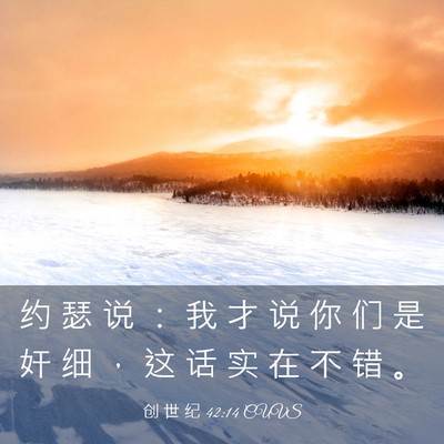 Picture 03 - 创 世 纪 42:14 CUVS - 约 瑟 说 ： 我 才 说 你 们 是 奸 细 - Bible Verse Picture