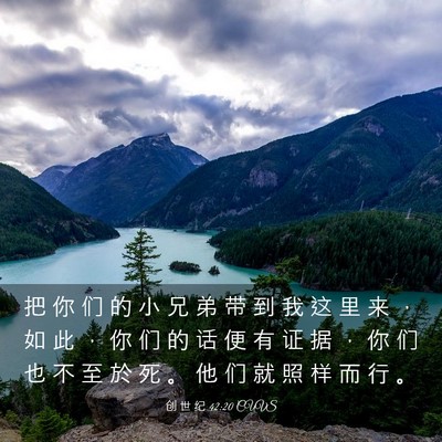 Picture 03 - 创 世 纪 42:20 CUVS - 把 你 们 的 小 兄 弟 带 到 我 这 里 - Bible Verse Picture