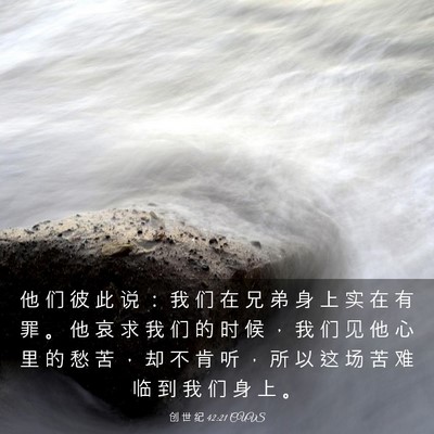 Picture 03 - 创 世 纪 42:21 CUVS - 他 们 彼 此 说 ： 我 们 在 兄 弟 身 - Bible Verse Picture