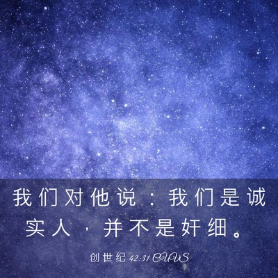 Picture 03 - 创 世 纪 42:31 CUVS - 我 们 对 他 说 ： 我 们 是 诚 实 人 - Bible Verse Picture