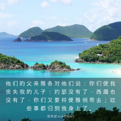 Picture 03 - 创 世 纪 42:36 CUVS - 他 们 的 父 亲 雅 各 对 他 们 说 ： - Bible Verse Picture