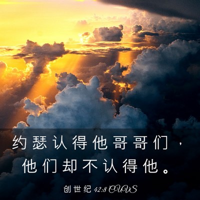 Picture 03 - 创 世 纪 42:8 CUVS - 约 瑟 认 得 他 哥 哥 们 ， 他 们 却 - Bible Verse Picture