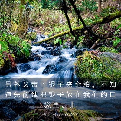Picture 03 - 创 世 纪 43:22 CUVS - 另 外 又 带 下 银 子 来 籴 粮 。 不 - Bible Verse Picture