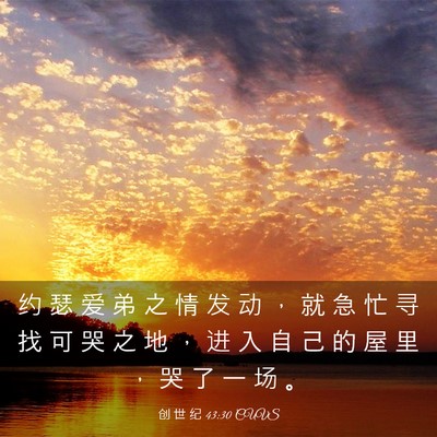 Picture 03 - 创 世 纪 43:30 CUVS - 约 瑟 爱 弟 之 情 发 动 ， 就 急 忙 - Bible Verse Picture