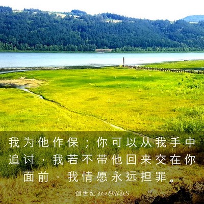 Picture 03 - 创 世 纪 43:9 CUVS - 我 为 他 作 保 ； 你 可 以 从 我 手 - Bible Verse Picture