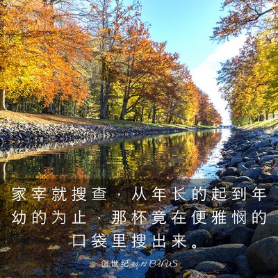 Picture 03 - 创 世 纪 44:12 CUVS - 家 宰 就 搜 查 ， 从 年 长 的 起 到 - Bible Verse Picture