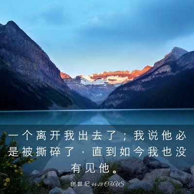 Picture 03 - 创 世 纪 44:28 CUVS - 一 个 离 开 我 出 去 了 ； 我 说 他 - Bible Verse Picture