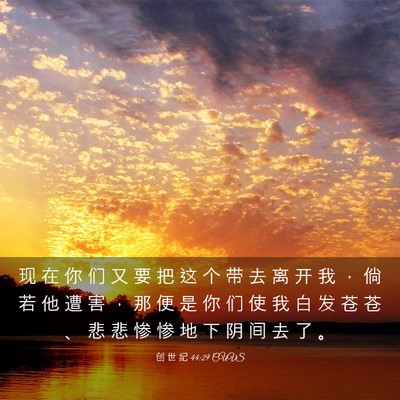 Picture 03 - 创 世 纪 44:29 CUVS - 现 在 你 们 又 要 把 这 个 带 去 离 - Bible Verse Picture