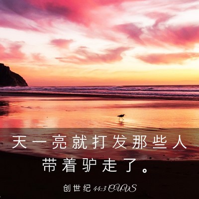 Picture 03 - 创 世 纪 44:3 CUVS - 天 一 亮 就 打 发 那 些 人 带 着 驴 - Bible Verse Picture