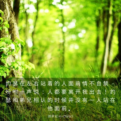 Picture 03 - 创 世 纪 45:1 CUVS - 约 瑟 在 左 右 站 着 的 人 面 前 情 - Bible Verse Picture
